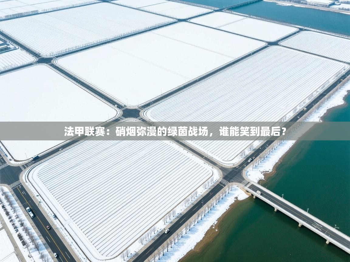 法甲联赛：硝烟弥漫的绿茵战场，谁能笑到最后？  第1张