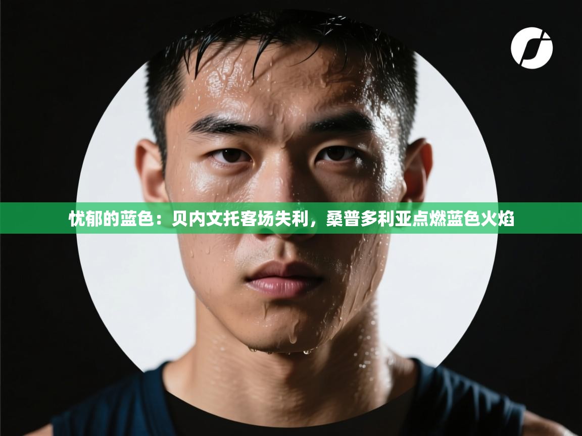 忧郁的蓝色：贝内文托客场失利，桑普多利亚点燃蓝色火焰  第2张