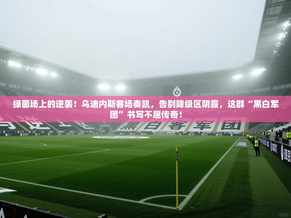 绿茵场上的逆袭！乌迪内斯客场奏凯，告别降级区阴霾，这群“黑白军团”书写不屈传奇！  第2张