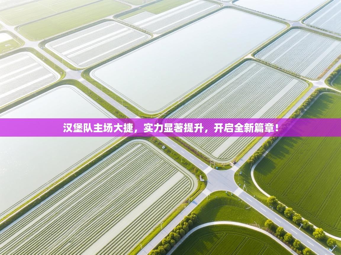 汉堡队主场大捷，实力显著提升，开启全新篇章！